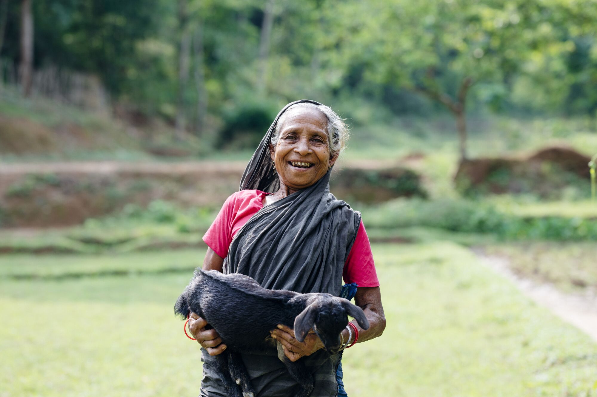 A person holding a turtle

AI-generated content may be incorrect.